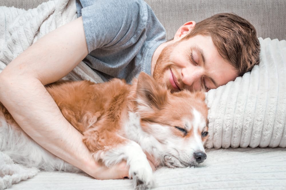 Pros And Cons Of Sleeping With Your Dog